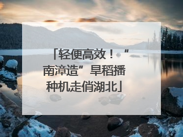 轻便高效！“南漳造”旱稻播种机走俏湖北