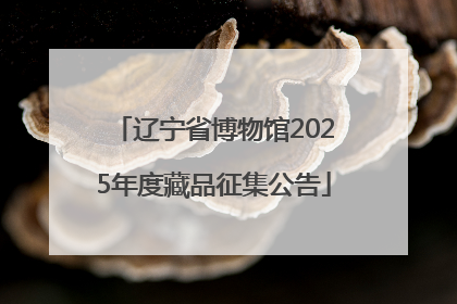 辽宁省博物馆2025年度藏品征集公告