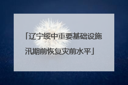 辽宁绥中重要基础设施汛期前恢复灾前水平