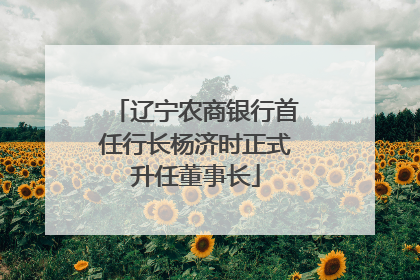 辽宁农商银行首任行长杨济时正式升任董事长