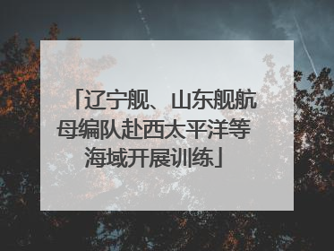 辽宁舰、山东舰航母编队赴西太平洋等海域开展训练