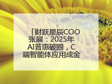 财跃星辰COO张展：2025年AI普惠破圈，C端智能体应用成金融转型关键