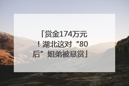 赏金174万元！湖北这对“80后”姐弟被悬赏