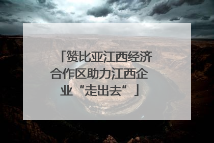 赞比亚江西经济合作区助力江西企业“走出去”