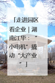 走进园区看企业｜湖南江华：“小电机”撬动“大产业”
