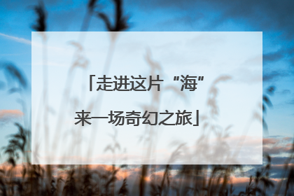 走进这片“海”来一场奇幻之旅