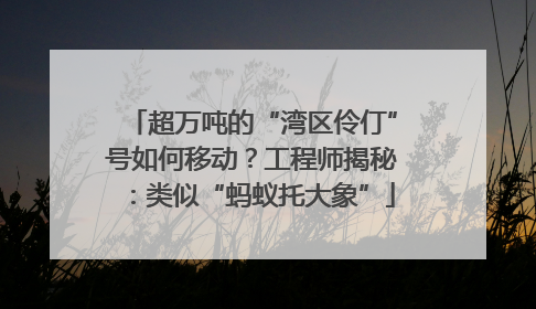 超万吨的“湾区伶仃”号如何移动？工程师揭秘：类似“蚂蚁托大象”