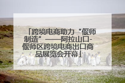 跨境电商助力“偃师制造”——阿拉山口-偃师区跨境电商出口商品展览会开幕