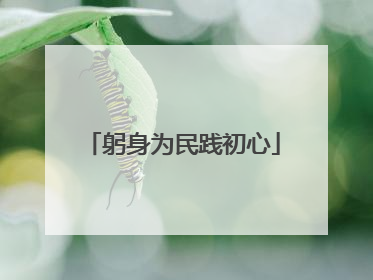 躬身为民践初心