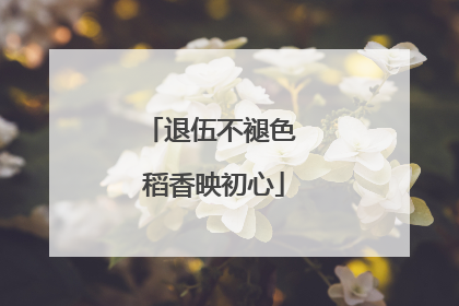 退伍不褪色 稻香映初心