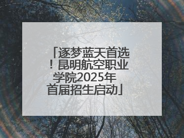 逐梦蓝天首选！昆明航空职业学院2025年首届招生启动