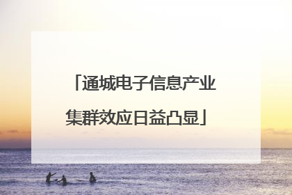 通城电子信息产业集群效应日益凸显