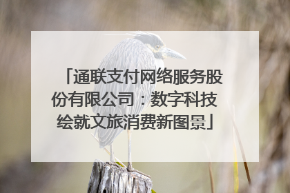 通联支付网络服务股份有限公司：数字科技绘就文旅消费新图景
