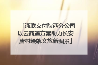 通联支付陕西分公司以云商通方案助力长安唐村绘就文旅新图景