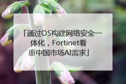 通过OS构建网络安全一体化，Fortinet看重中国市场AI需求