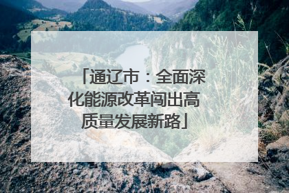 通辽市：全面深化能源改革闯出高质量发展新路