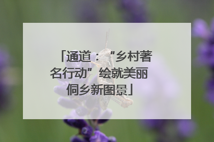 通道：“乡村著名行动”绘就美丽侗乡新图景