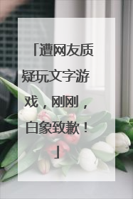 遭网友质疑玩文字游戏，刚刚，白象致歉！