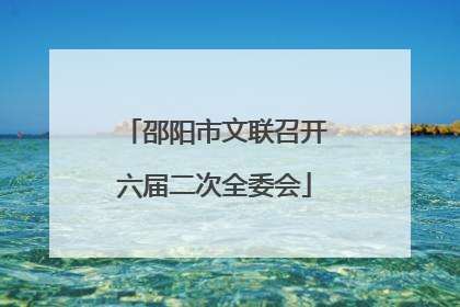 邵阳市文联召开六届二次全委会