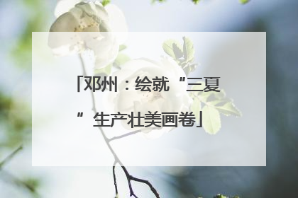 邓州：绘就“三夏”生产壮美画卷
