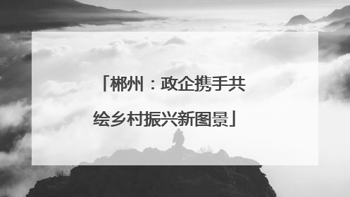郴州：政企携手共绘乡村振兴新图景