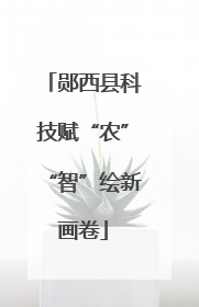 郧西县科技赋“农”“智”绘新画卷