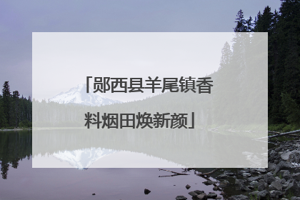 郧西县羊尾镇香料烟田焕新颜