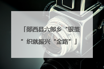 郧西县六郎乡“银茧”织就振兴“金路”