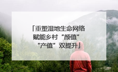 重塑湿地生命网络 赋能乡村“颜值”“产值”双提升