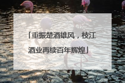 重振楚酒雄风，枝江酒业再续百年辉煌