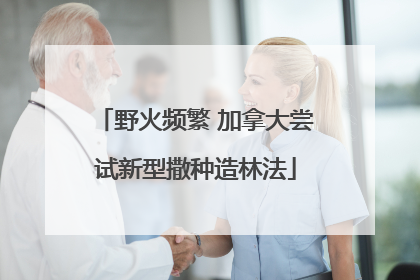野火频繁 加拿大尝试新型撒种造林法