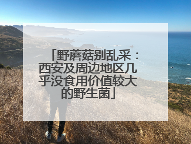 野蘑菇别乱采：西安及周边地区几乎没食用价值较大的野生菌