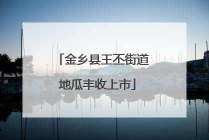 金乡县王丕街道地瓜丰收上市