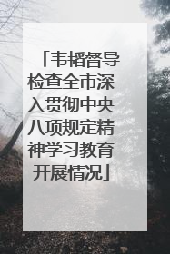韦韬督导检查全市深入贯彻中央八项规定精神学习教育开展情况