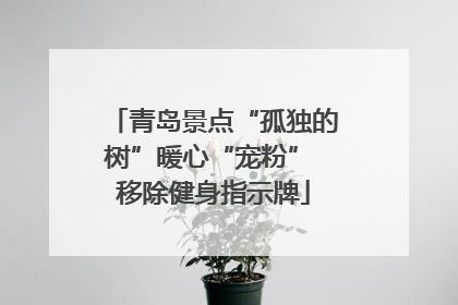 青岛景点“孤独的树”暖心“宠粉” 移除健身指示牌