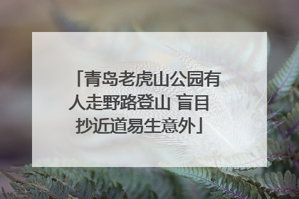 青岛老虎山公园有人走野路登山 盲目抄近道易生意外