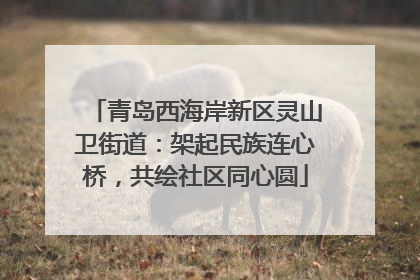 青岛西海岸新区灵山卫街道：架起民族连心桥，共绘社区同心圆