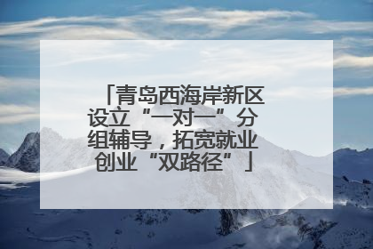 青岛西海岸新区设立“一对一”分组辅导，拓宽就业创业“双路径”