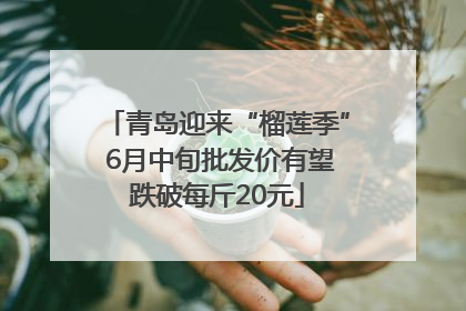 青岛迎来“榴莲季” 6月中旬批发价有望跌破每斤20元