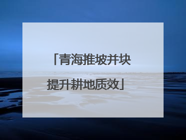 青海推坡并块提升耕地质效