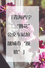 青海西宁：“簪花”公交车站扮靓城市“颜值”