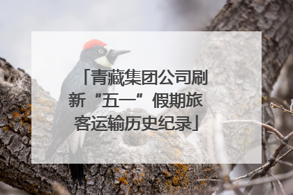 青藏集团公司刷新“五一”假期旅客运输历史纪录