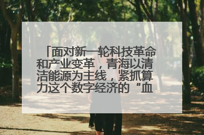 面对新一轮科技革命和产业变革，青海以清洁能源为主线，紧抓算力这个数字经济的“血液”、科技主权的“筹码”、产业升级的“杠杆”、绿色转型的“支点”，勇于撬动国家“双碳”战略、“东数西算”工程重大发展新机遇