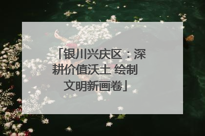 银川兴庆区：深耕价值沃土 绘制文明新画卷