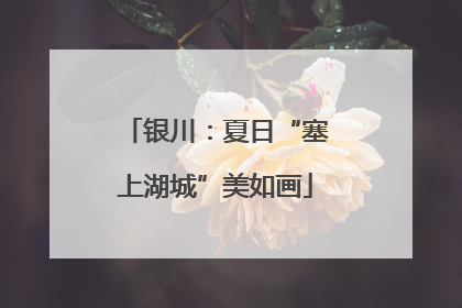 银川：夏日“塞上湖城”美如画