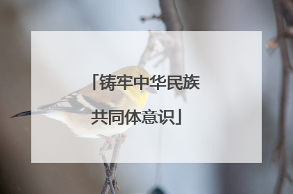 铸牢中华民族共同体意识