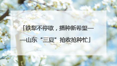 铁犁不停歇，播种新希望——山东“三夏”抢收抢种忙