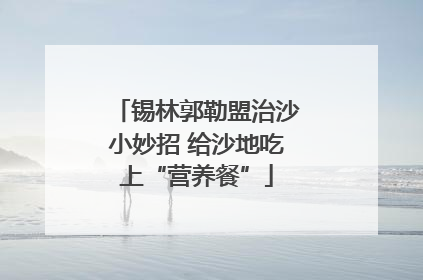 锡林郭勒盟治沙小妙招 给沙地吃上“营养餐”