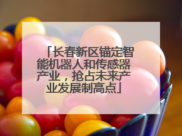 长春新区锚定智能机器人和传感器产业，抢占未来产业发展制高点