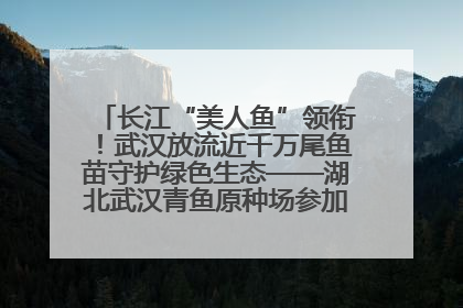 长江“美人鱼”领衔！武汉放流近千万尾鱼苗守护绿色生态——湖北武汉青鱼原种场参加2025年“全国放鱼日”增殖放流活动